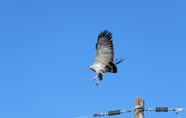 Add Image Description