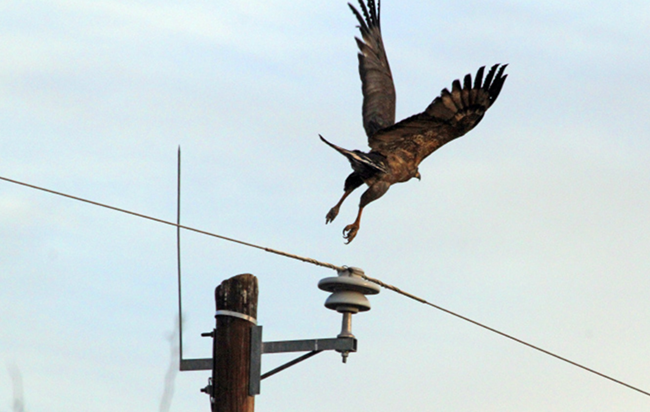 Add Image Description