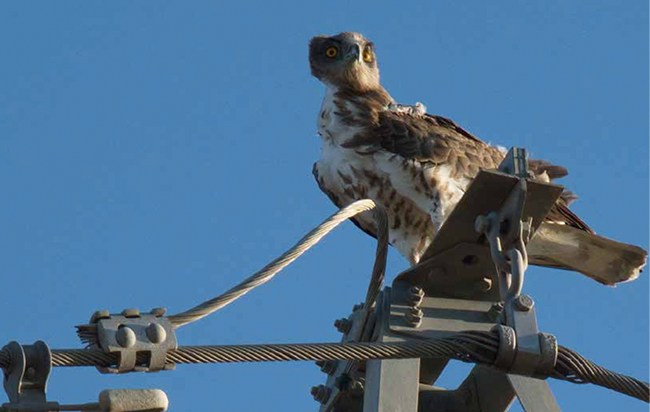 Add Image Description