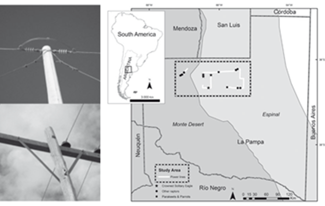 Add Image Description