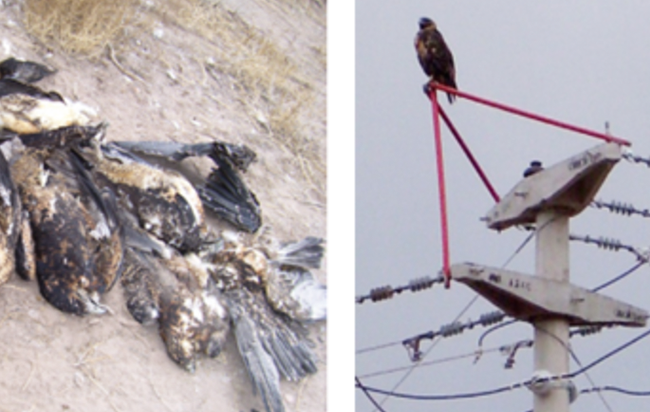 Add Image Description