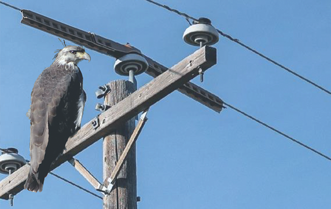 Add Image Description