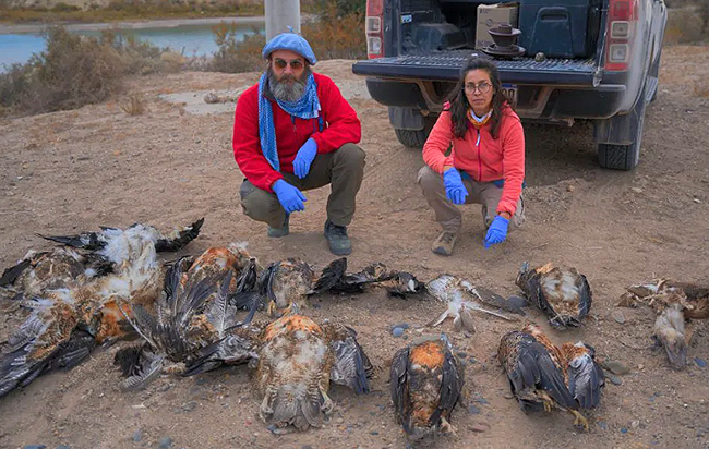 Add Image Description