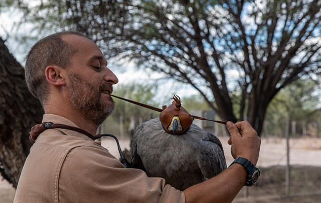 Add Image Description