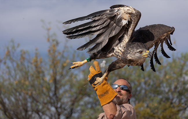 Add Image Description