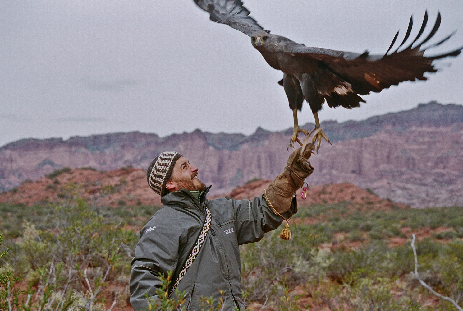 Add Image Description