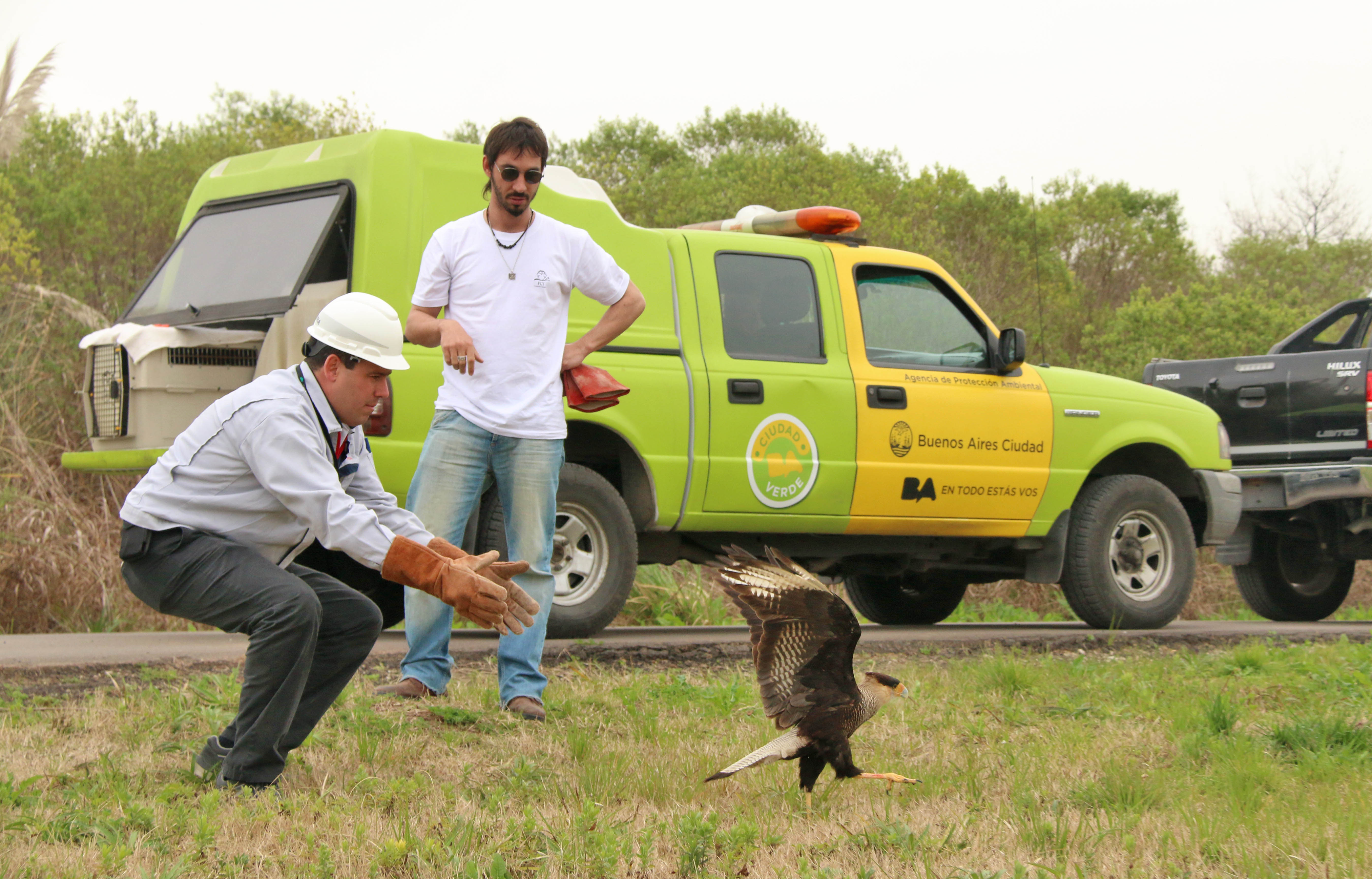 Add Image Description