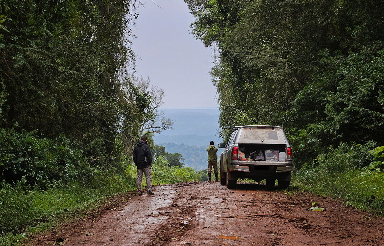 Add Image Description